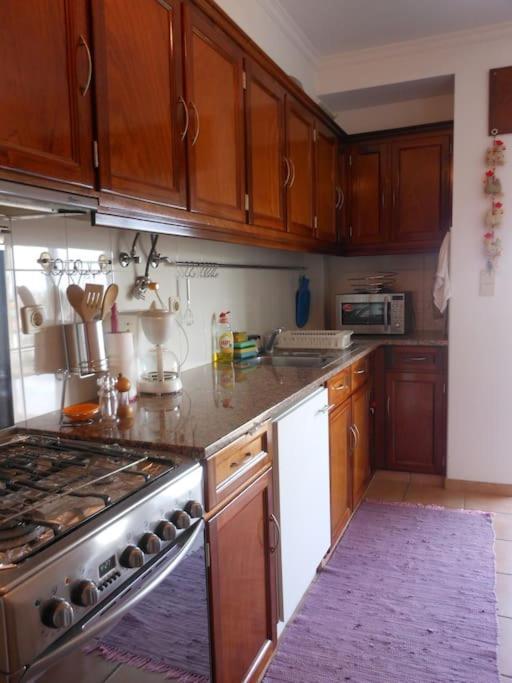 Rooftop Apartment Ponta Delgada المظهر الخارجي الصورة
